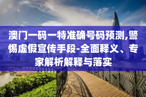 澳门一码一特准确号码预测,警惕虚假宣传手段-全面释义、专家解析解释与落实