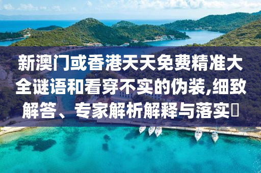 新澳门或香港天天免费精准大全谜语和看穿不实的伪装,细致解答、专家解析解释与落实​